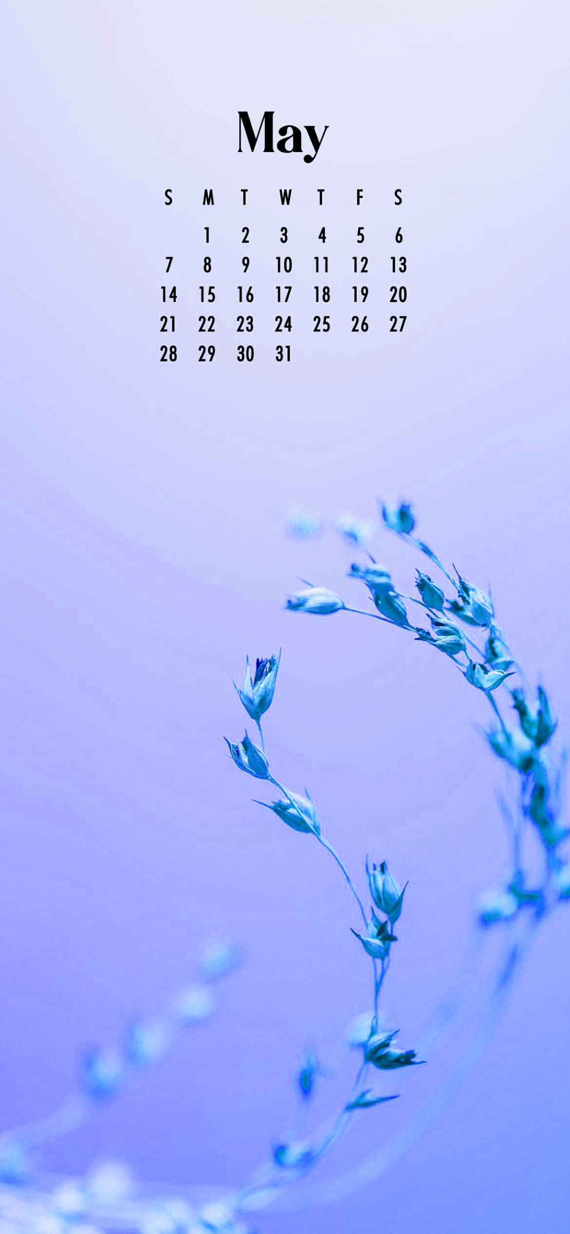 May 2023 Wallpapers