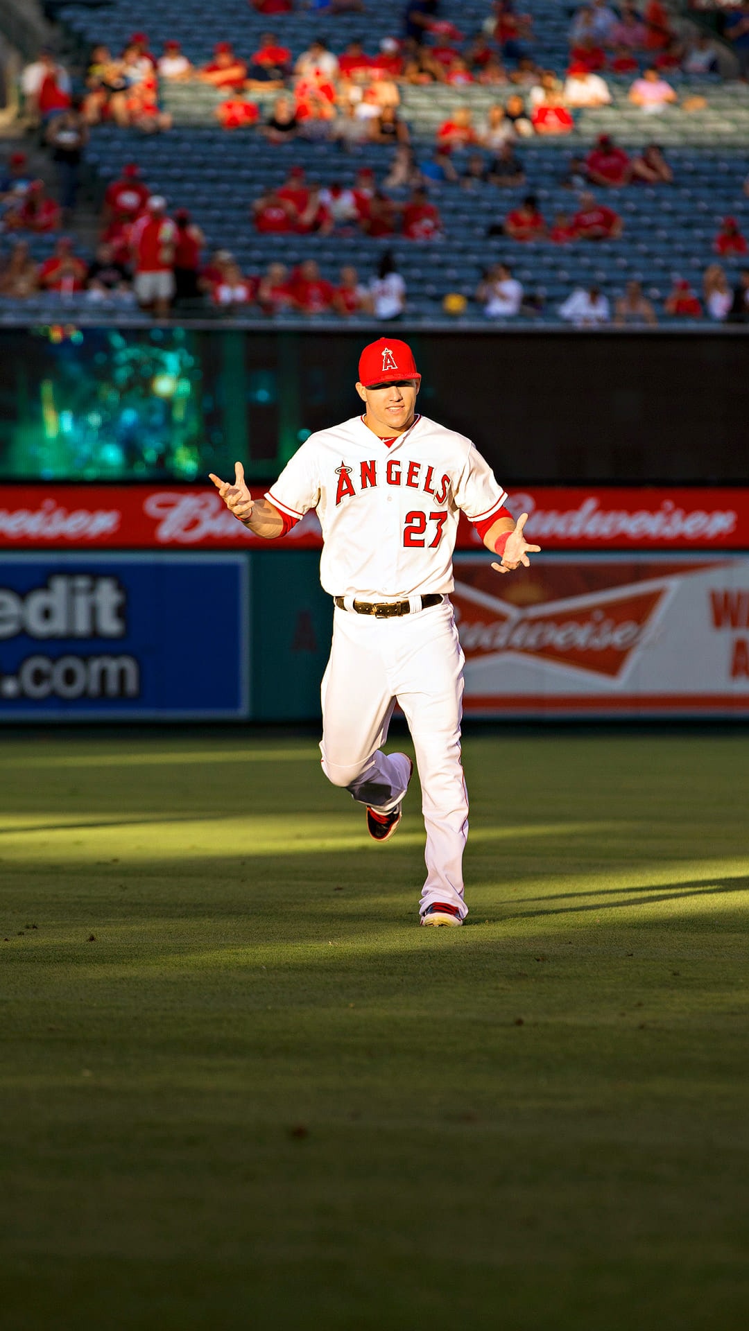 Mike Trout Wallpapers