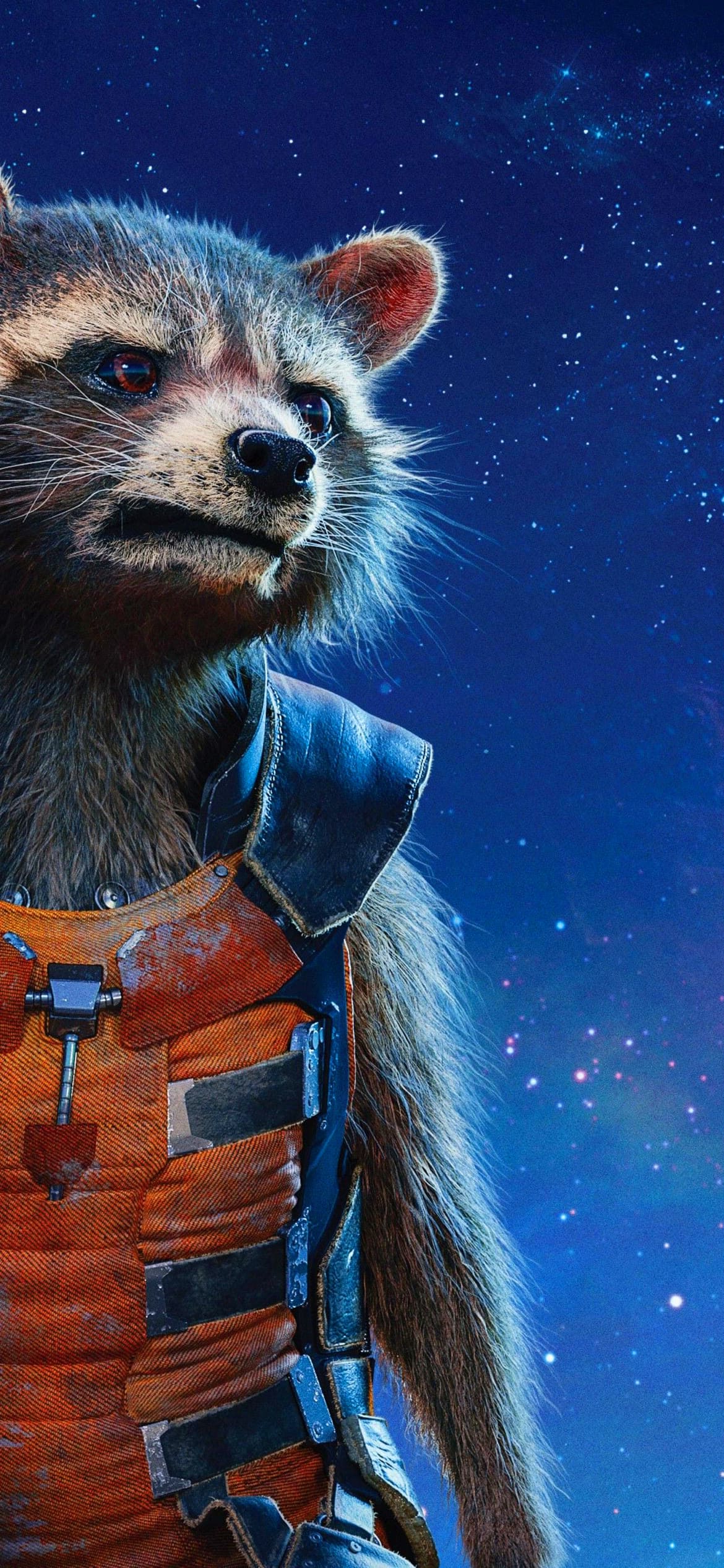 Rocket Raccoon Wallpapers