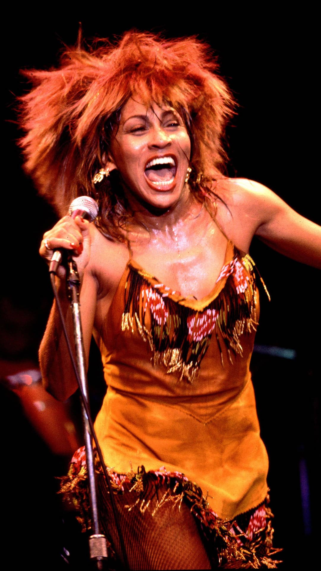 Tina Turner Wallpapers