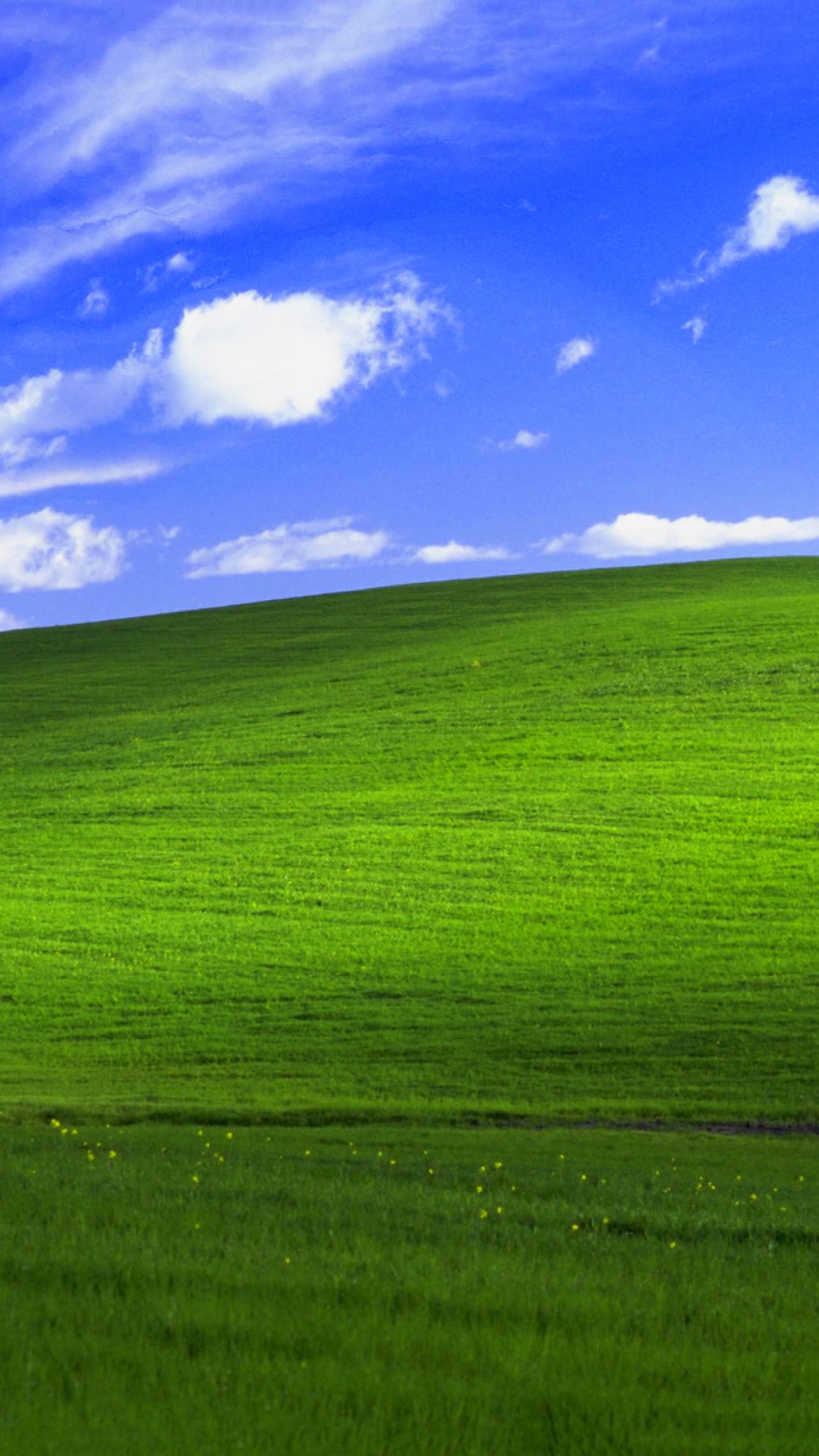 Windows XP Wallpapers