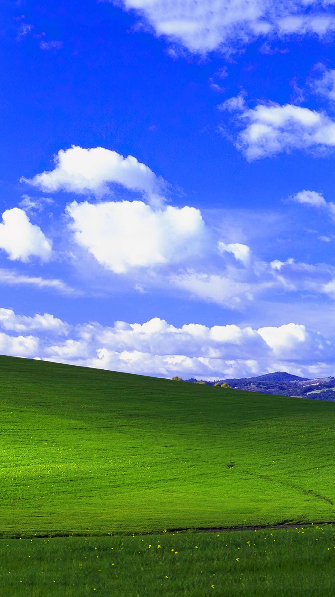 Windows XP Wallpapers