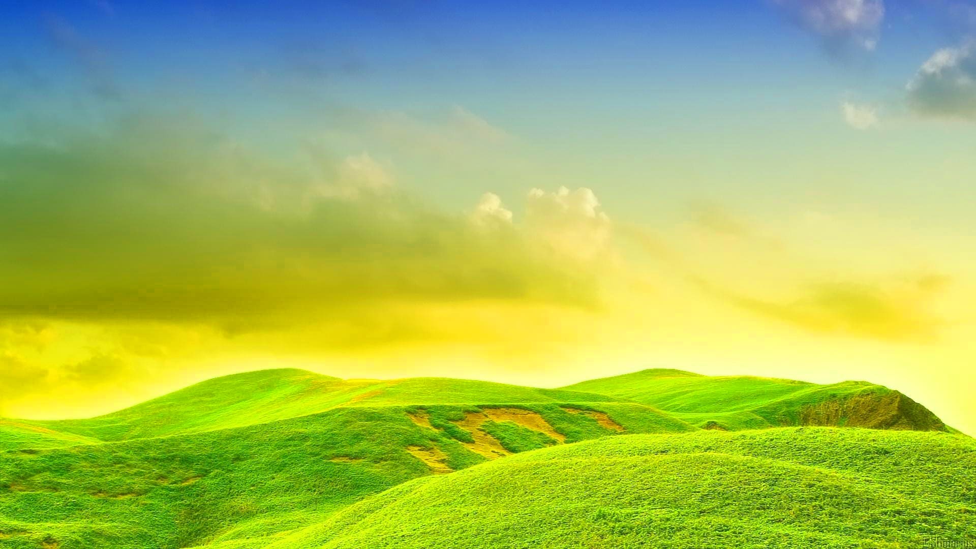 Windows XP Wallpapers