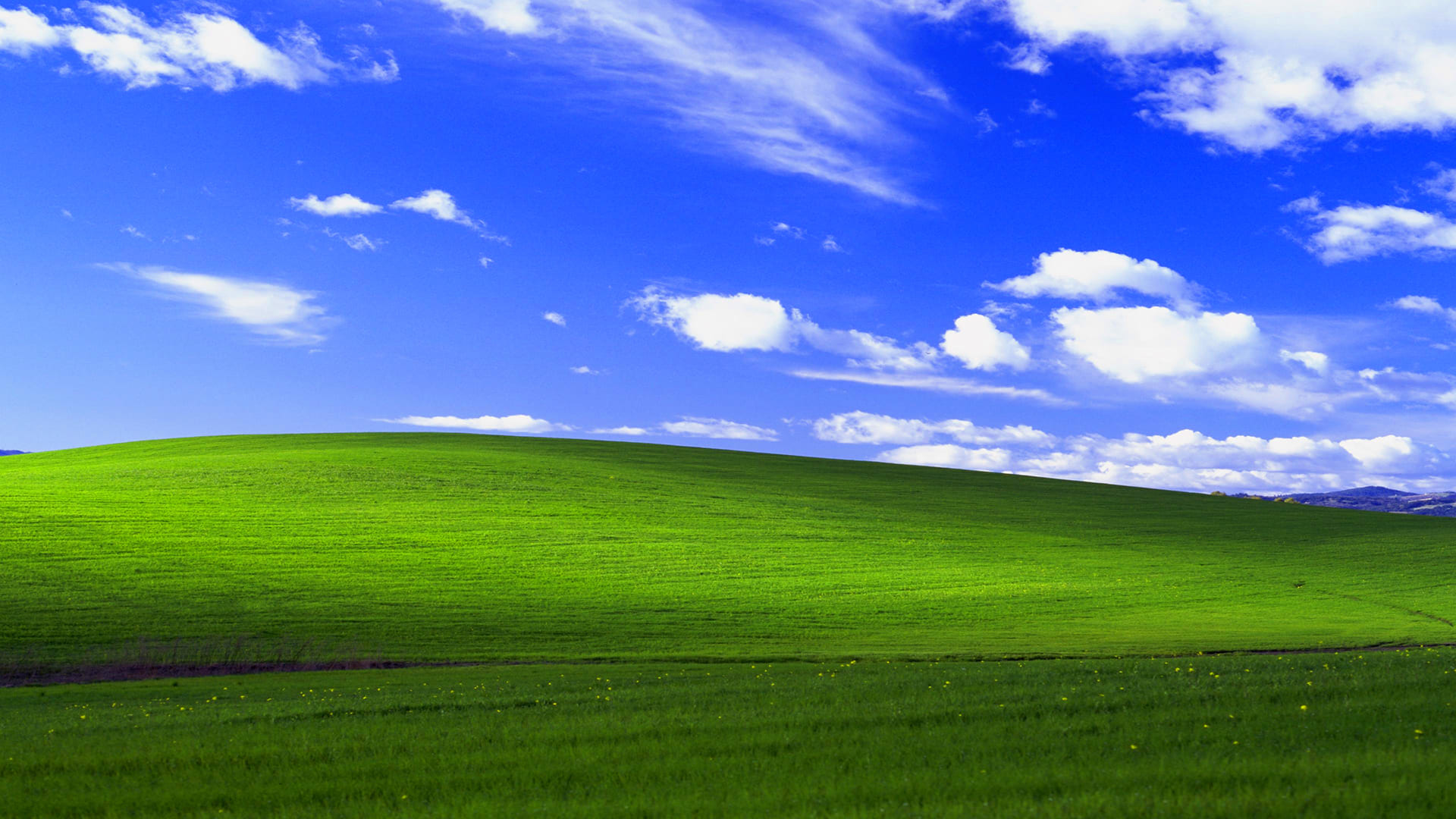 Windows XP Wallpapers