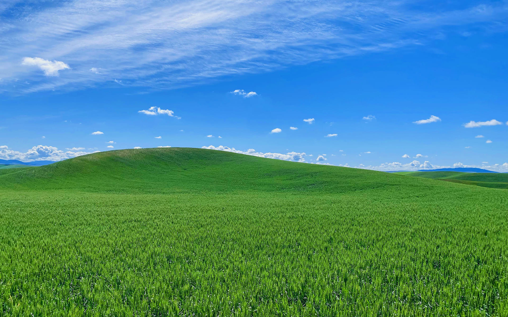 Windows XP Wallpapers