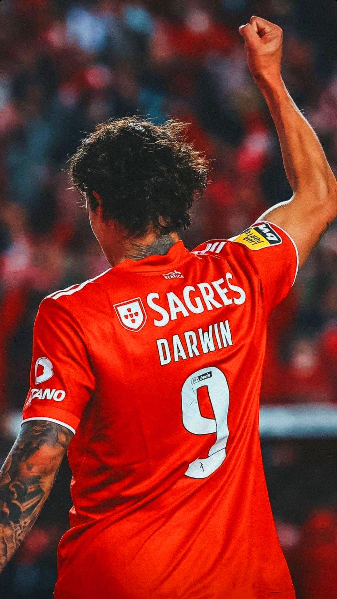Darwin Nunez Wallpapers