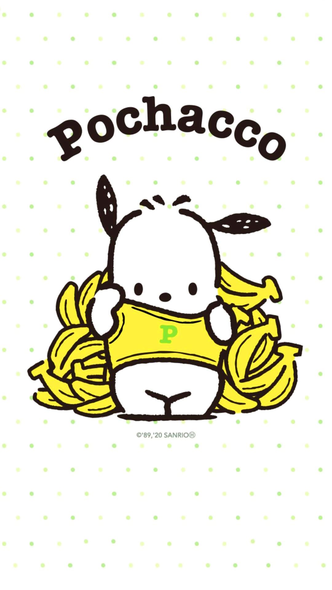 Pochacco Wallpapers