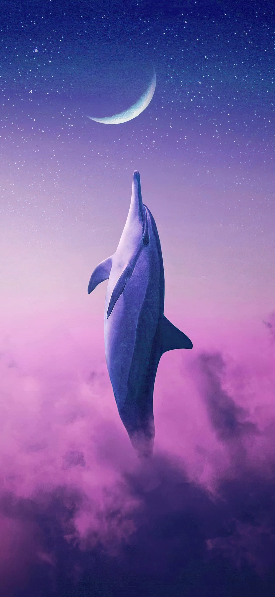Dolphin Wallpapers