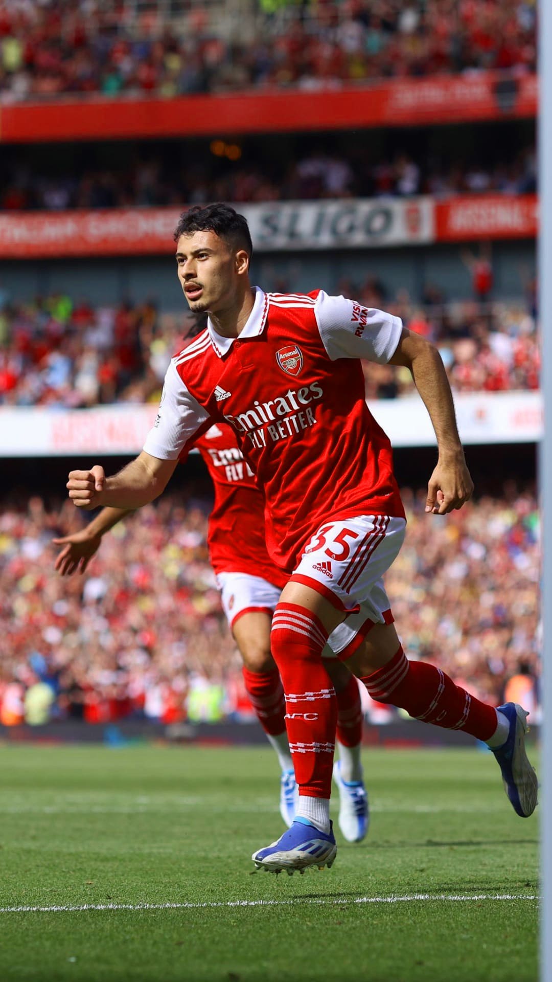 Martinelli Wallpapers