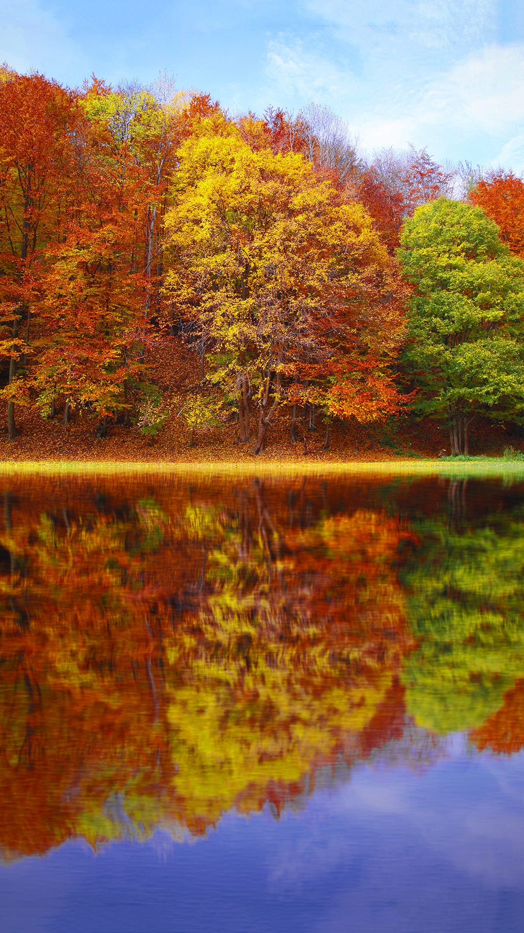 Fall Themed Wallpapers