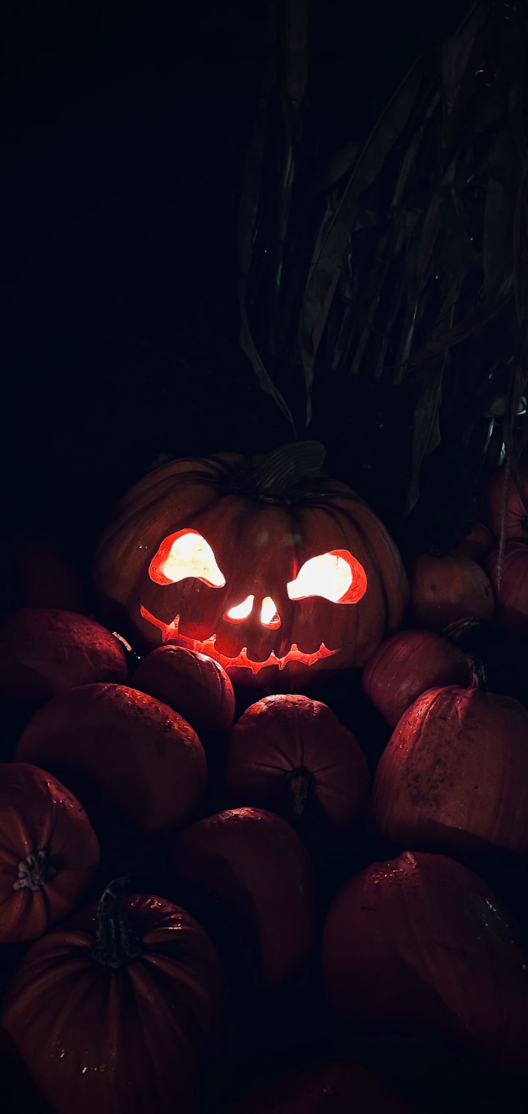 Halloween Wallpapers