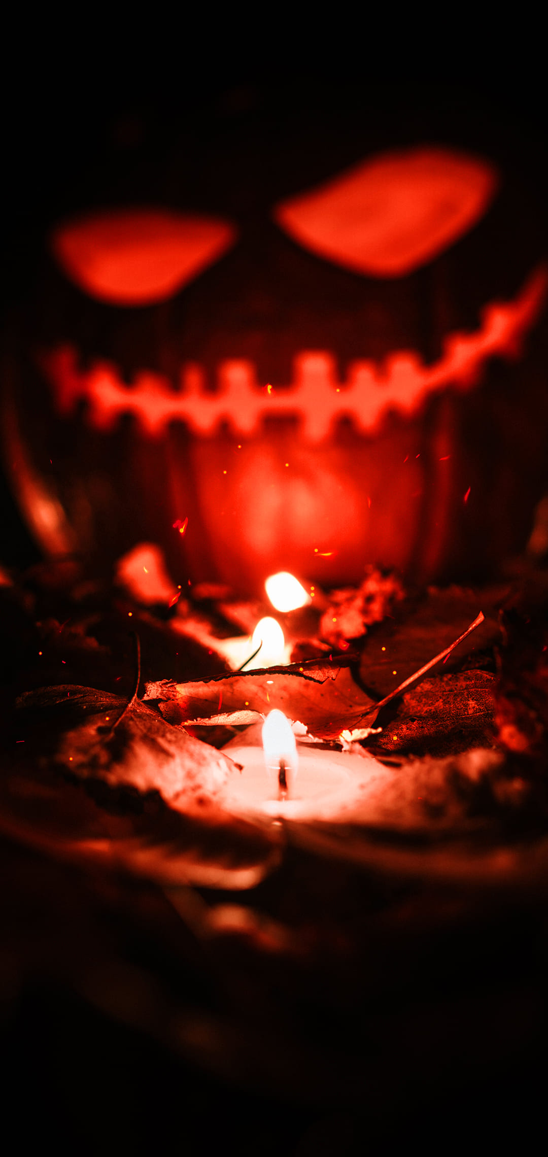 Halloween Wallpapers