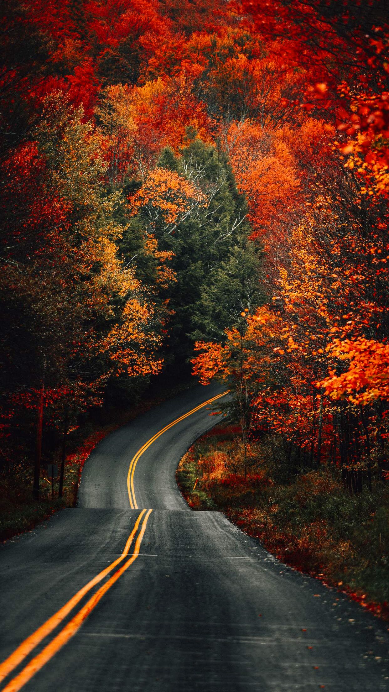 Herbst Wallpapers