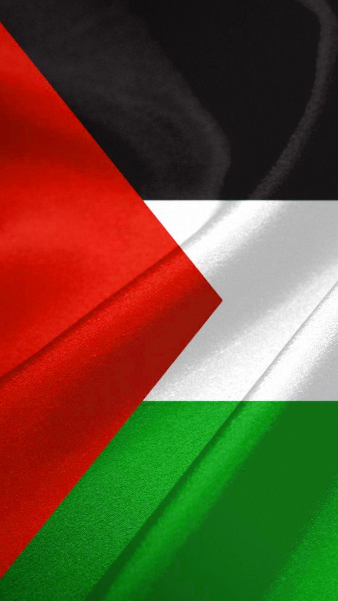 Save Palestine Wallpapers