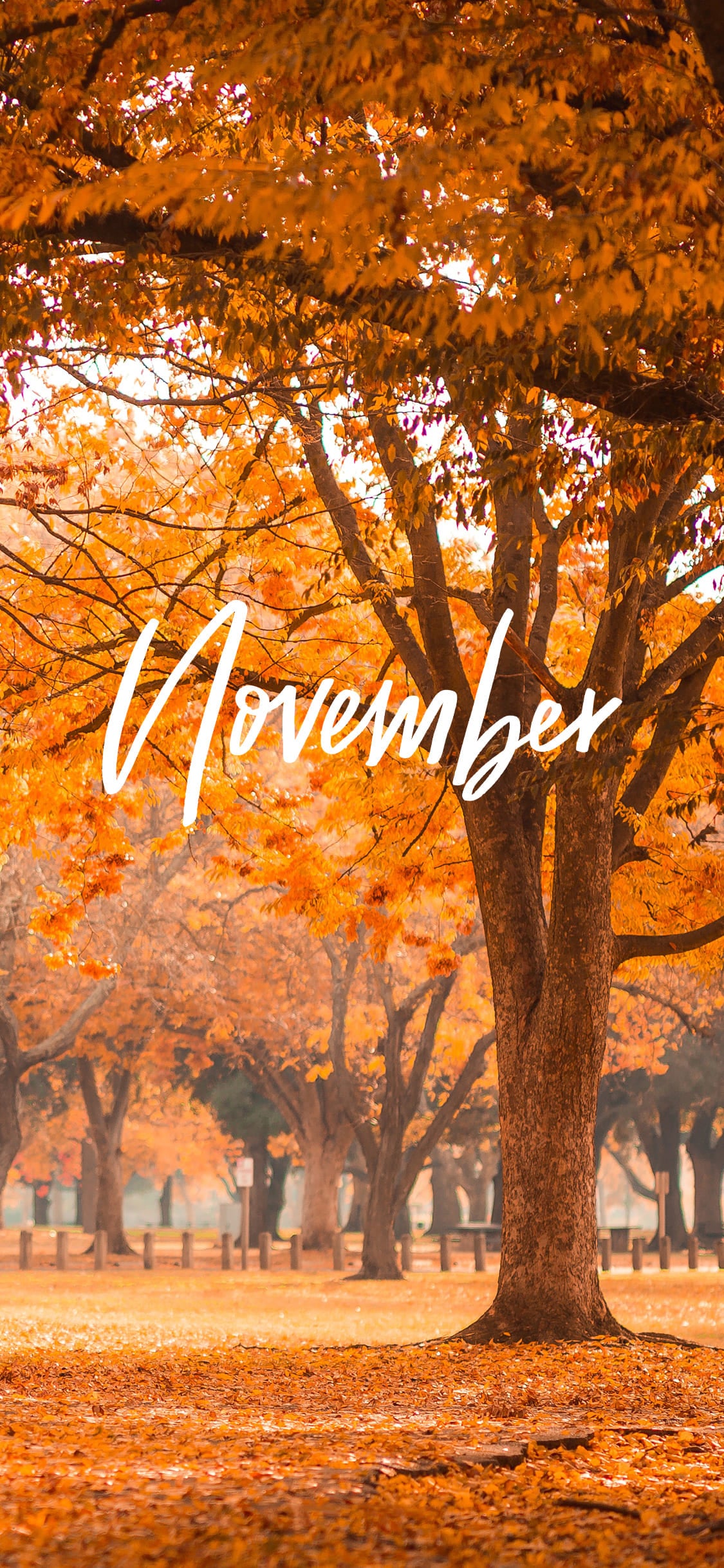 Hello November Wallpapers