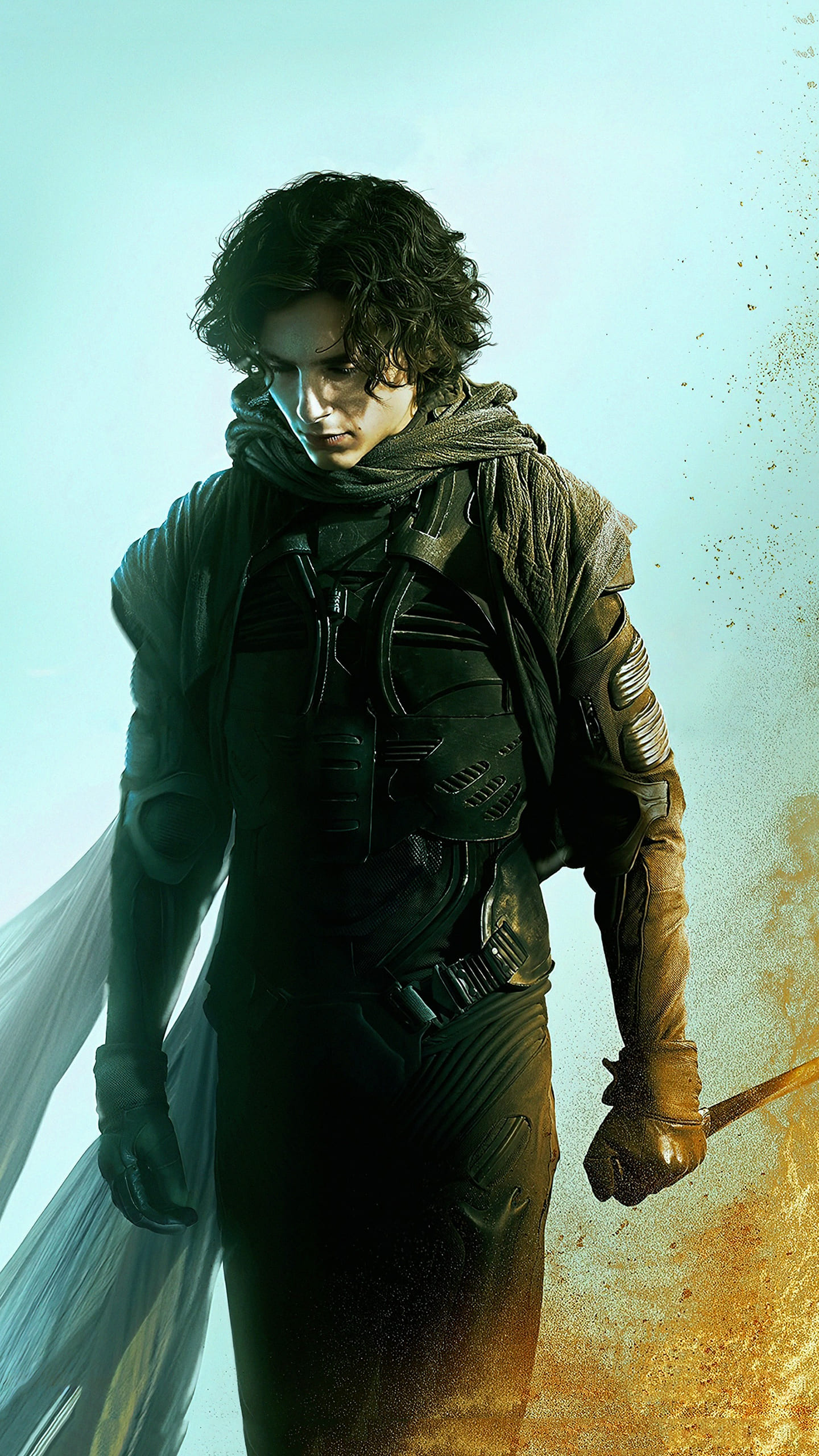 Timothee Chalamet Wallpapers