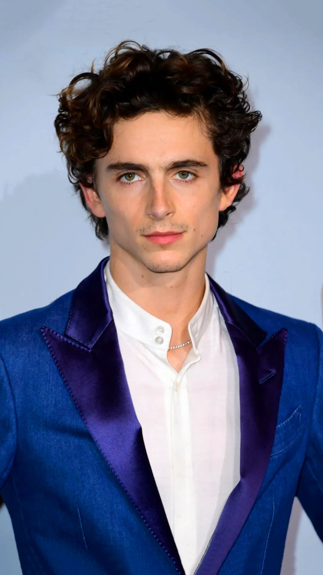 Timothee Chalamet Wallpapers