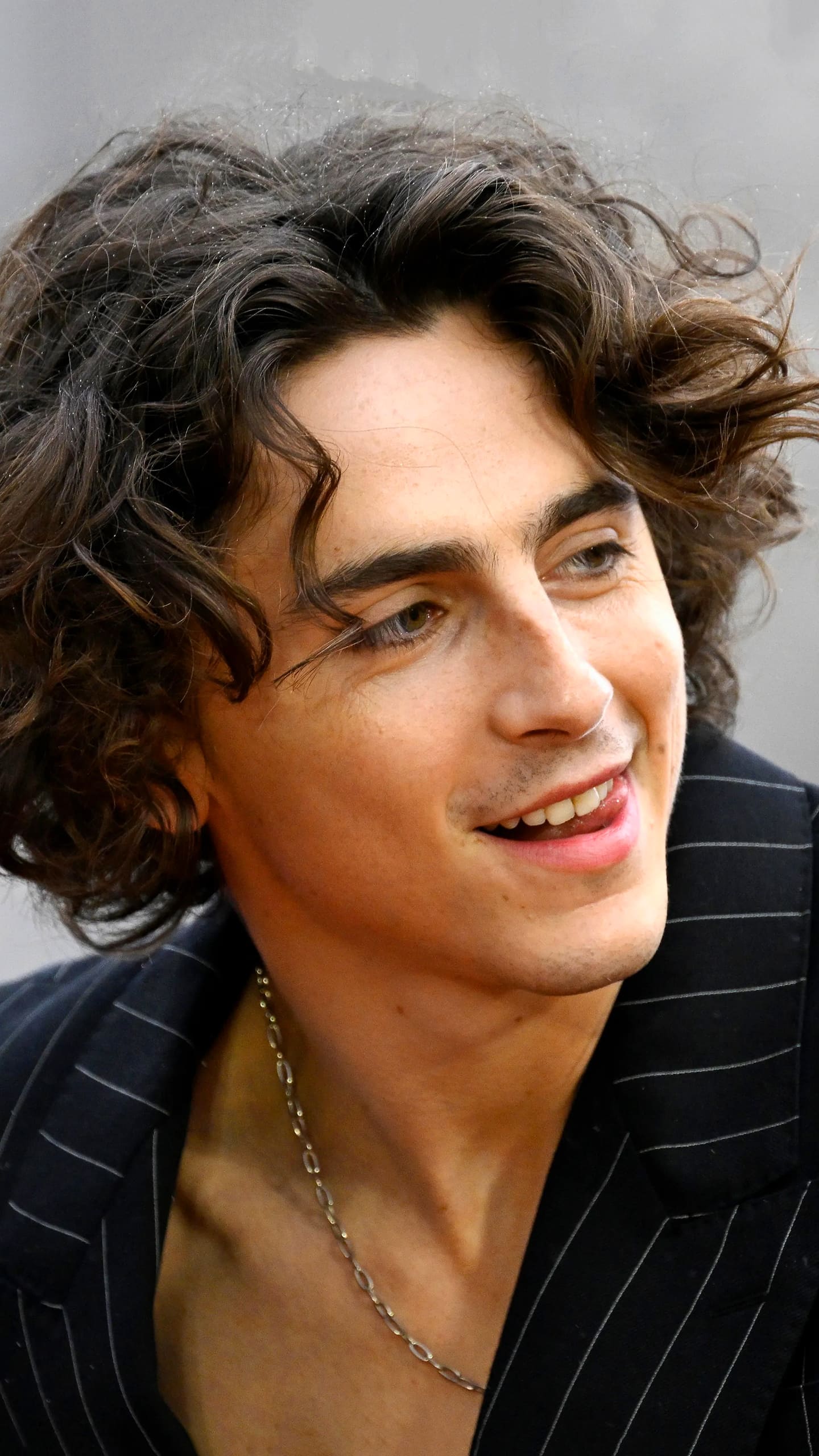 Timothee Chalamet Wallpapers