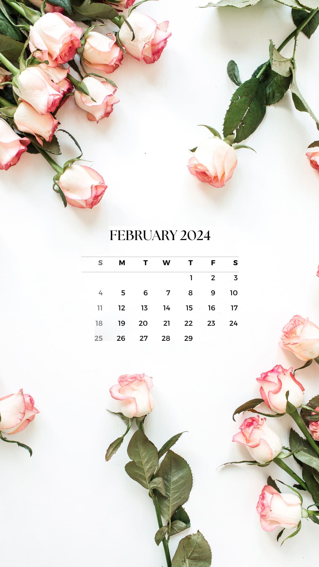 February 2024 Calendar Wallpaper TubeWP