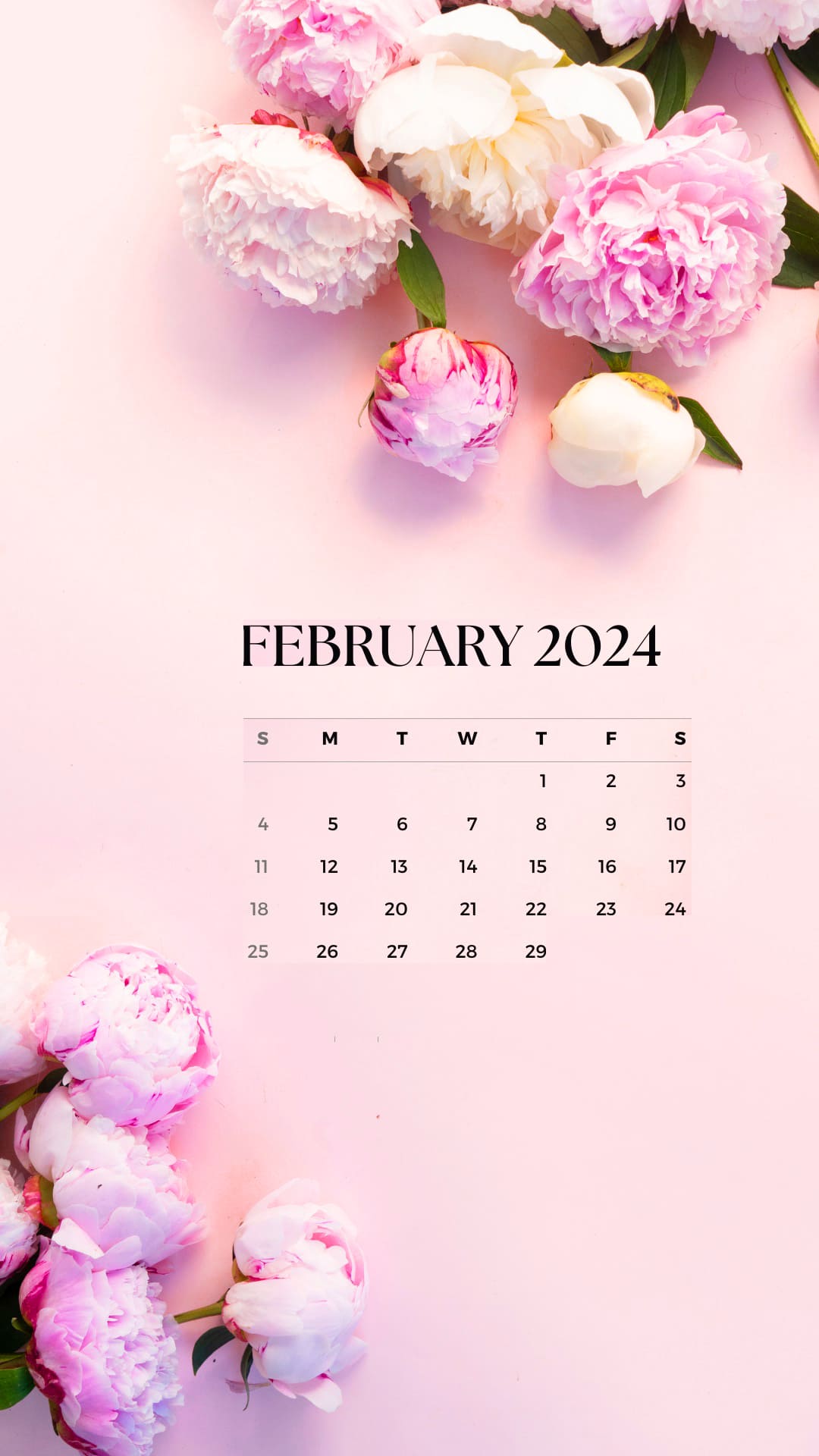 February 2024 Wallpapers