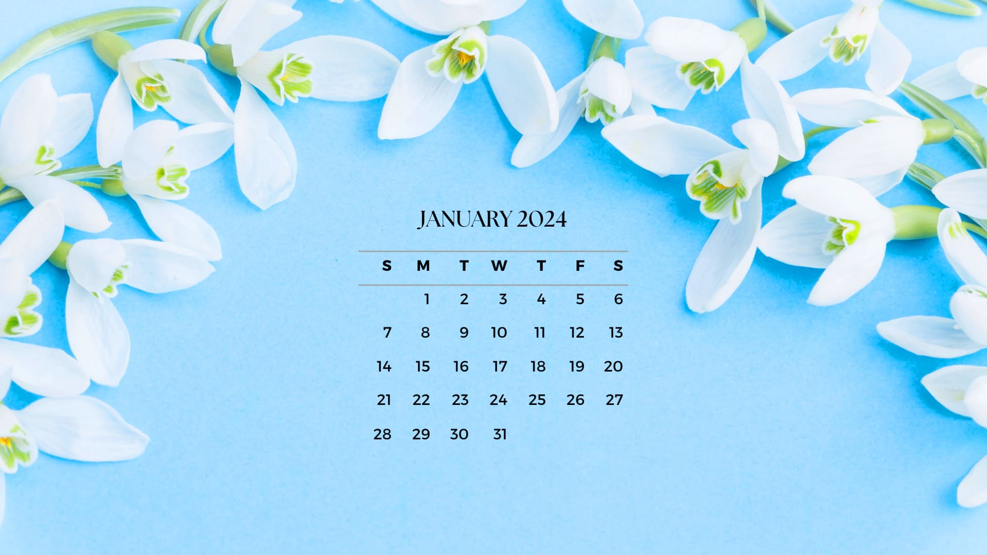 January 2024 Desktop Calendar Wallpapers TubeWP