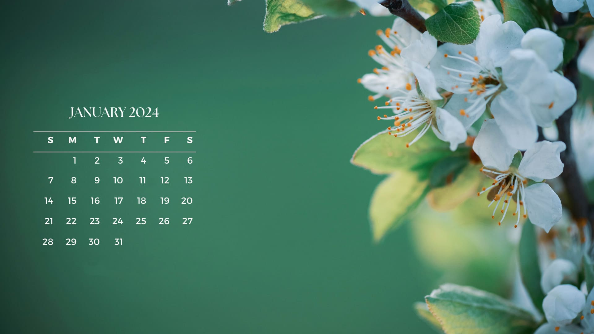 January 2024 Desktop Calendar Wallpaper TubeWP