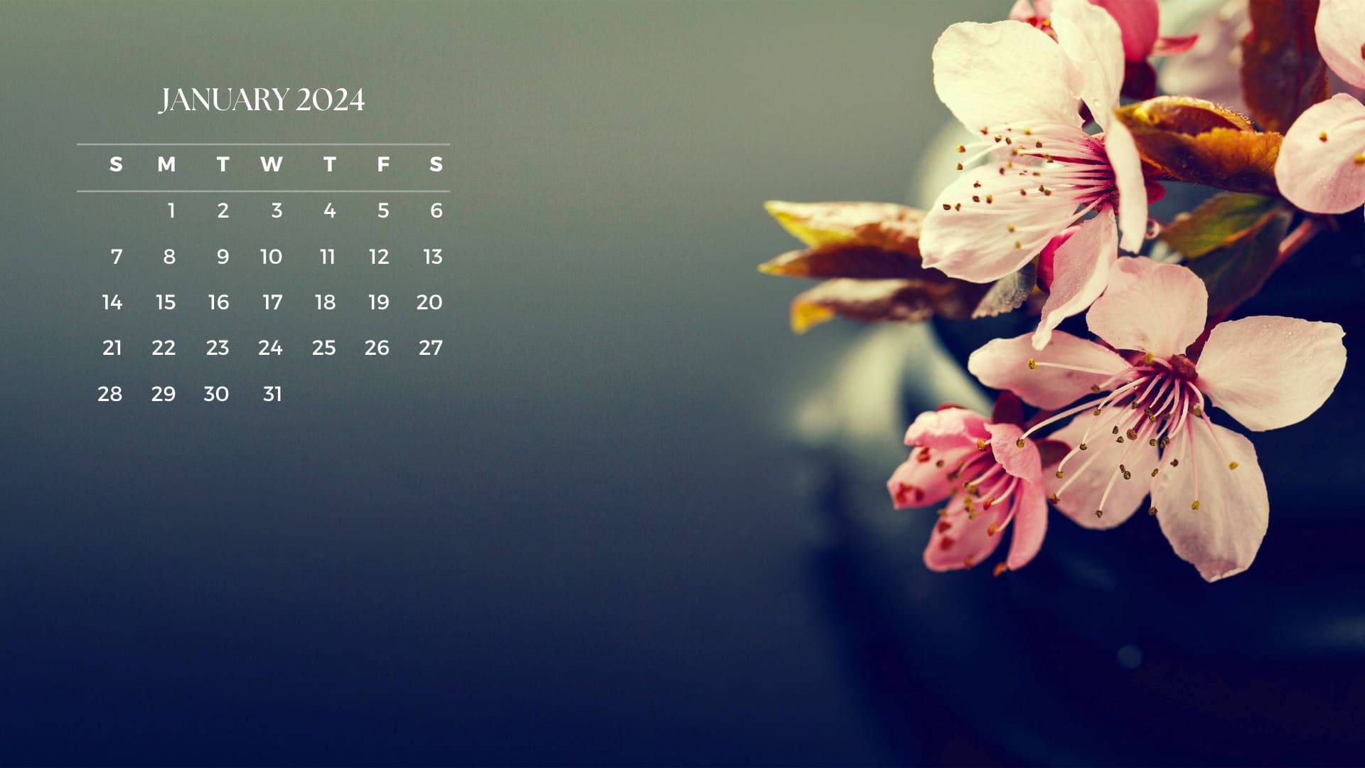 January 2024 Desktop Calendar Wallpaper TubeWP