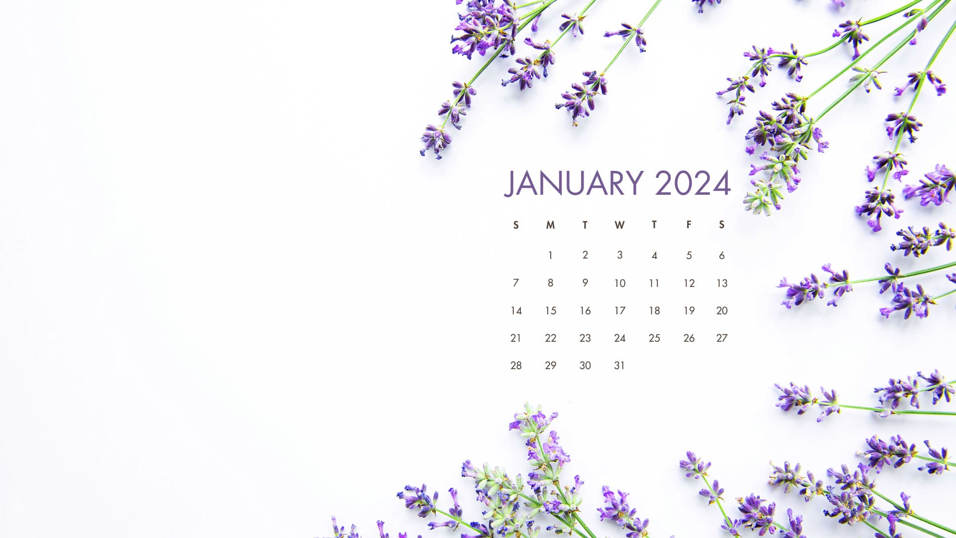 January 2024 Desktop Calendar Wallpaper TubeWP