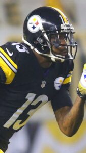 Jacoby Jones Wallpapers