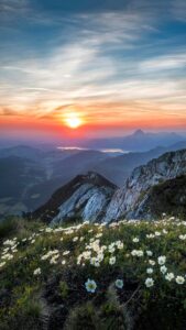 Rising Sun Wallpapers