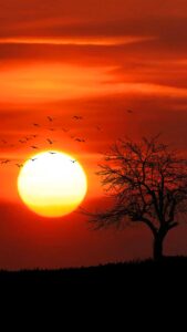 Rising Sun Wallpapers