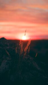 Rising Sun Wallpapers