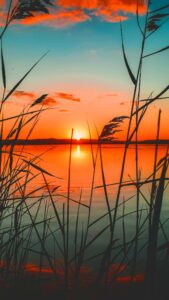 Rising Sun Wallpapers