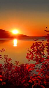 Rising Sun Wallpapers