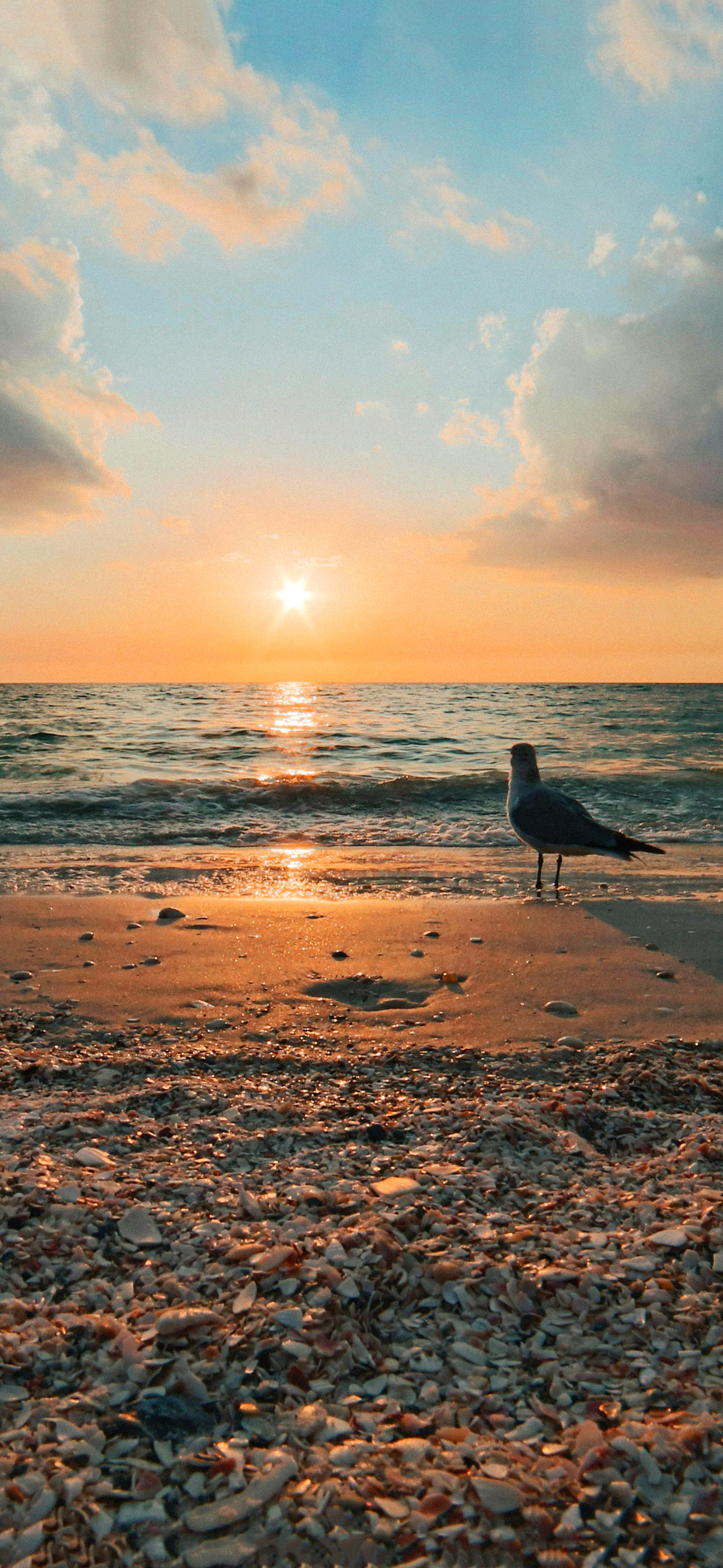 Rising Sun Wallpapers