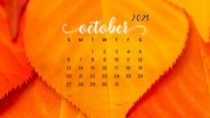 October 2024 Wallpapers