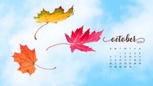 October 2024 Wallpapers