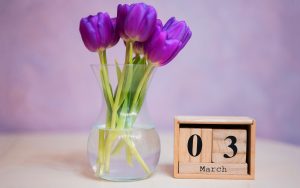 March 2025 Wallpapers