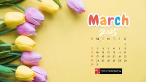 March 2025 Wallpapers