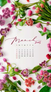 March 2025 Wallpapers