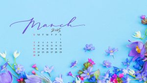 March 2025 Wallpapers