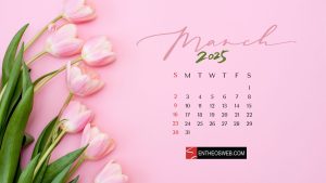 March 2025 Wallpapers