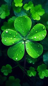 St Patricks Day Wallpapers