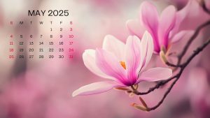 May 2025 Wallpapers