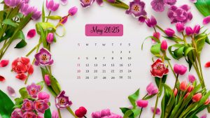 May 2025 Wallpapers