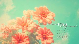 May 2025 Wallpapers