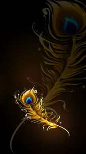Peacock Feather Wallpapers