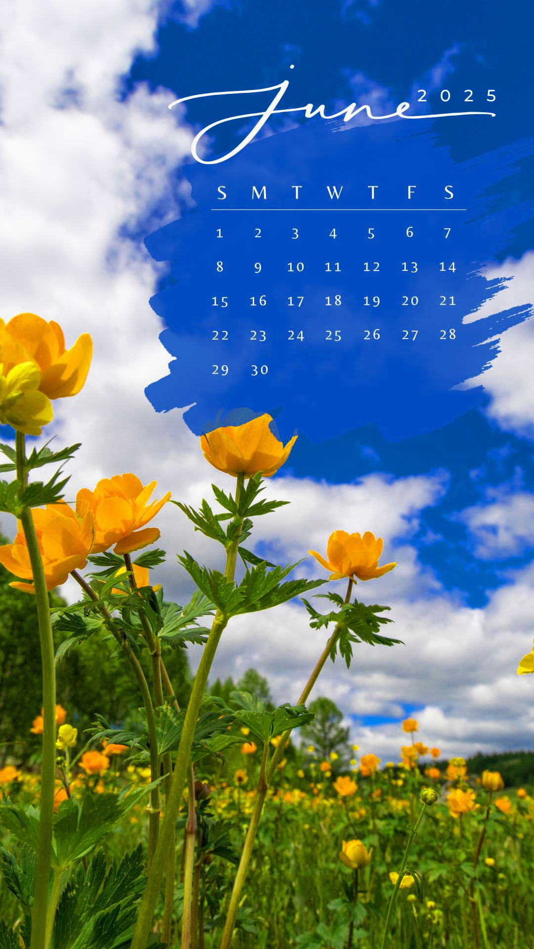 June Calendar 2025 Wallpaper